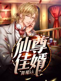 仙尊佳婿小说