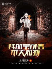 我的宝可梦不大对劲小说