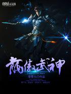 龙傲武神小说