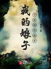 我的娘子可是绝世高手小说
