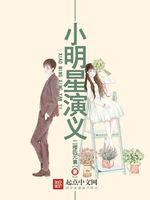 小明星演义小说