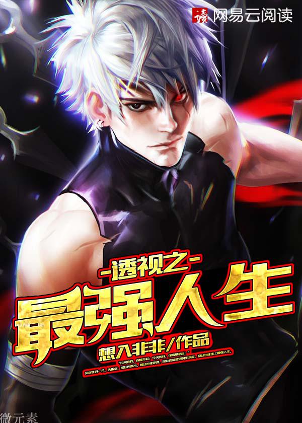 透视之最强人生小说