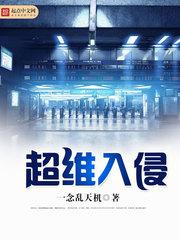 超维入侵小说