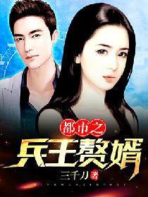 都市之兵王赘婿小说