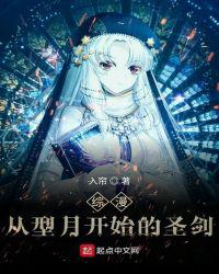 综漫从型月开始的圣剑小说