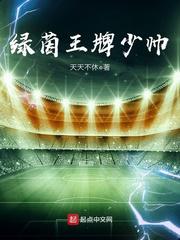 绿茵王牌少帅小说