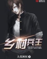 乡村兵王小说
