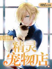 精灵宠物店小说