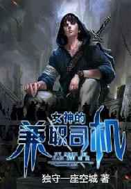 女神的兼职司机小说