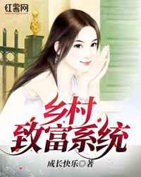 乡村致富系统小说