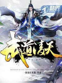 武道凌天小说