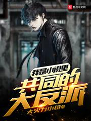 我是小说里共同的大反派小说