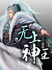 无上神王小说