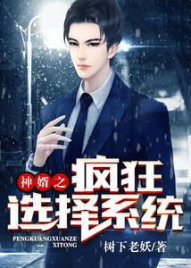 神婿之疯狂选择系统小说