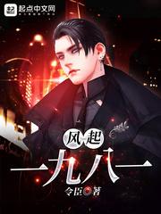 风起一九八一小说