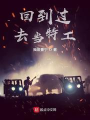 回到过去当特工小说