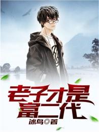 老子才是富二代小说