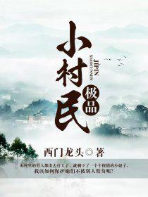 极品小村民小说
