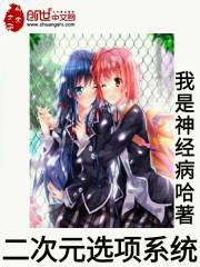 二次元选项系统小说