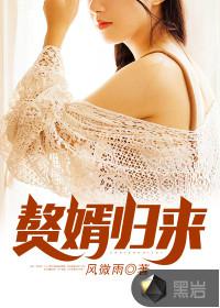 赘婿归来小说