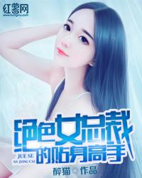 绝色女总裁的贴身高手小说