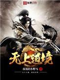 无上道境小说