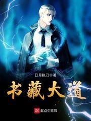 书藏大道小说