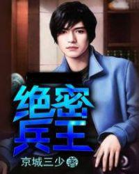 绝密兵王小说
