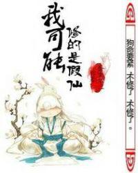 我可能修的是假仙小说