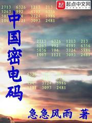 中国密电码小说