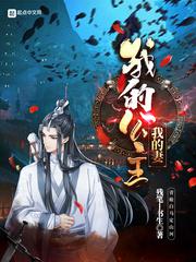 我的公主我的妻小说