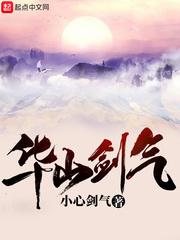 华山剑气小说