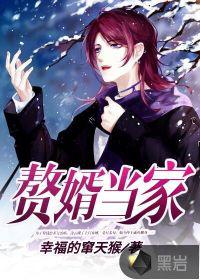 赘婿当家小说