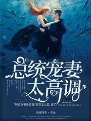 总统宠妻太高调小说