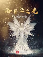 洛丹伦之光小说