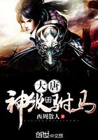 大唐神级驸马小说