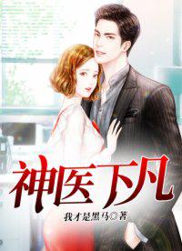 神医下凡小说