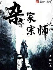 杂家宗师小说