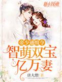 帝少通缉令：智萌双宝亿万妻小说