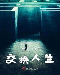 我与你交换人生小说
