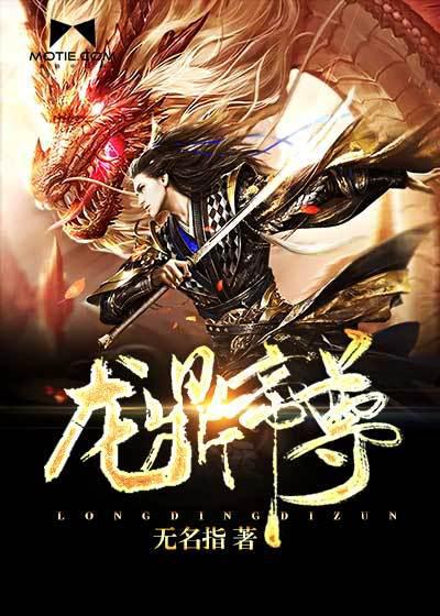 龙鼎帝尊小说