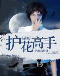 最强护花高手小说