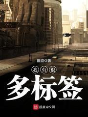 我有很多标签小说