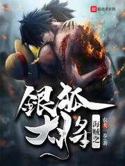 海贼之银狐大将小说