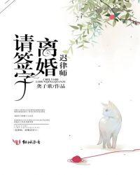 迟律师,离婚请签字小说