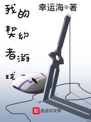 我的契约者游戏小说