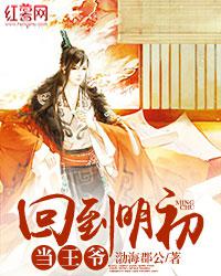 回到明初当王爷小说
