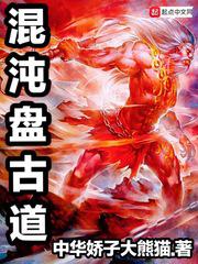混沌盘古道小说