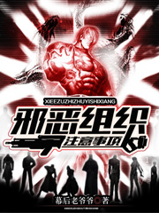 邪恶组织注意事项小说