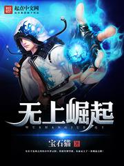 无上崛起小说